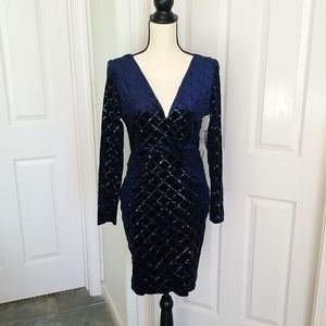 Windsor Sequin & Velvet dress